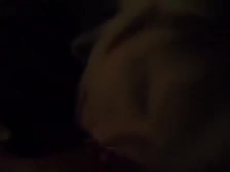 Group sex in bed with a single trannyGroup sex in bed with a single tranny