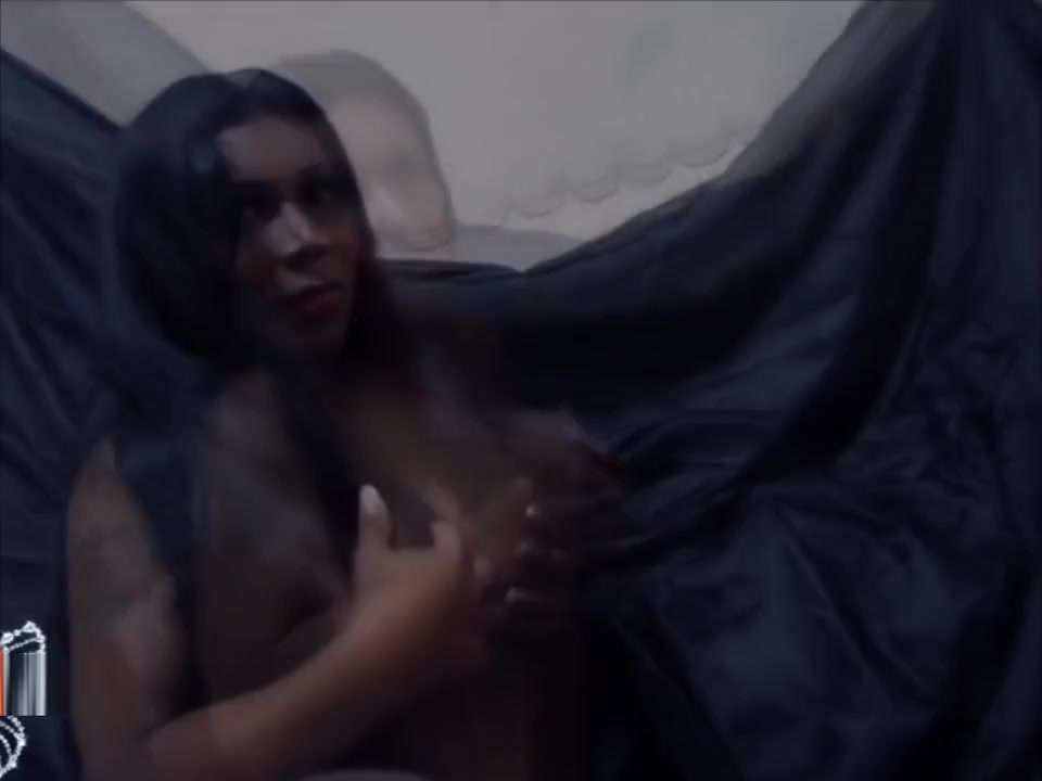 alexa modelo tranx