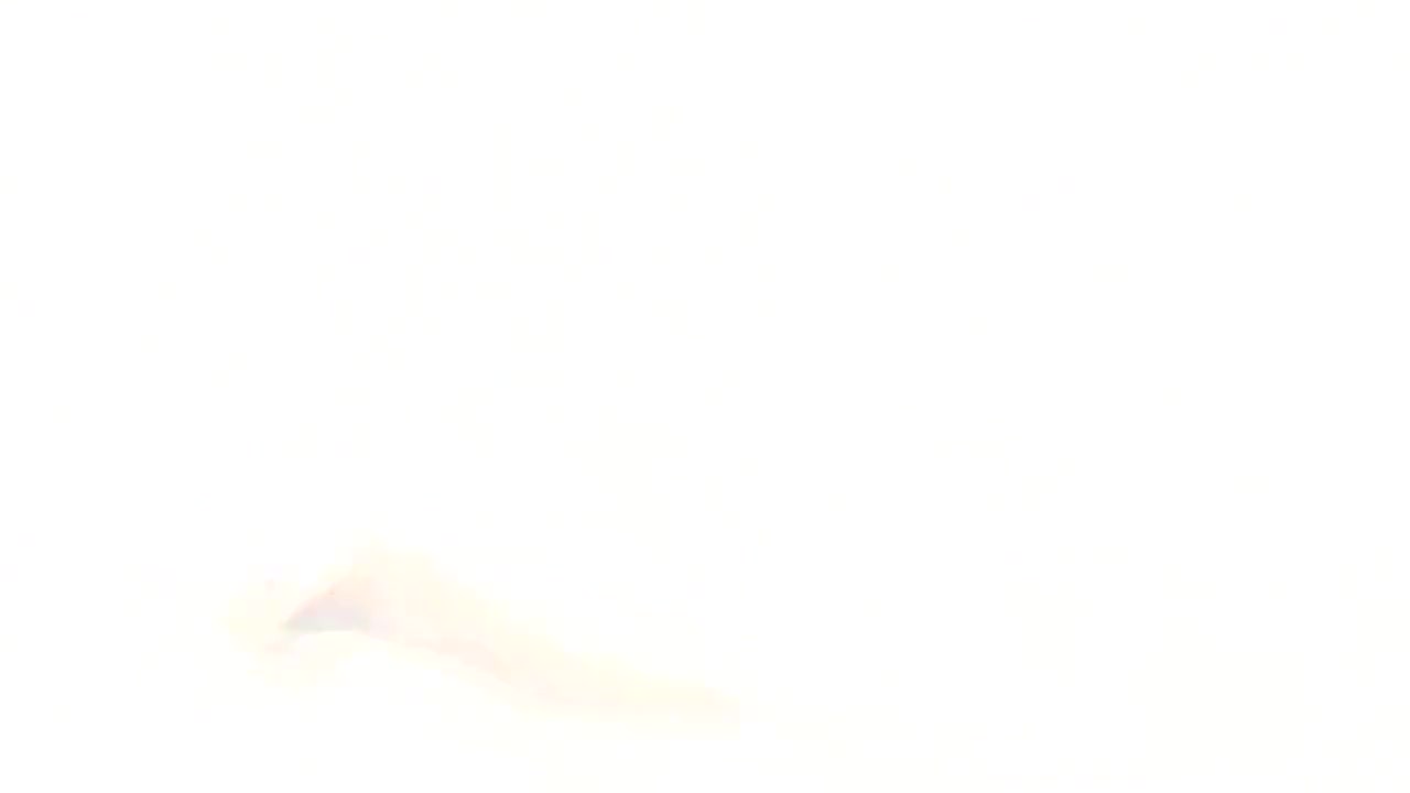 Hottest porn scene shemale Trannies unbelievable show