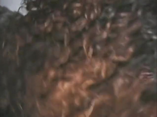Curly hair shemale sex at the gym
