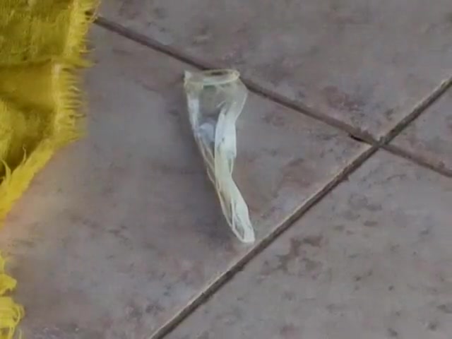 Shemales fucking Guys with Condoms