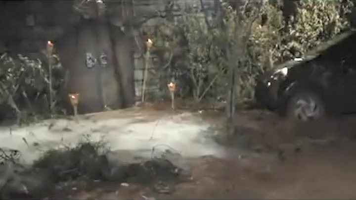 Mutante Shemale Video