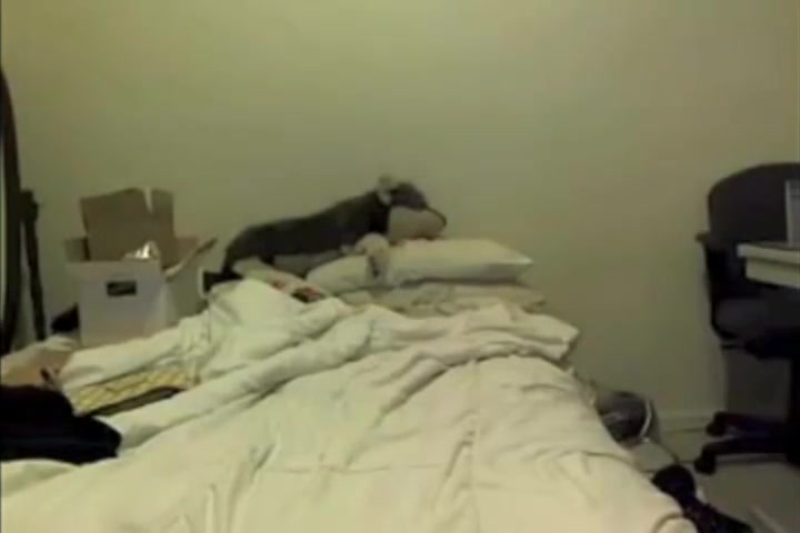 RealTrannySex dirty web camera cumshot