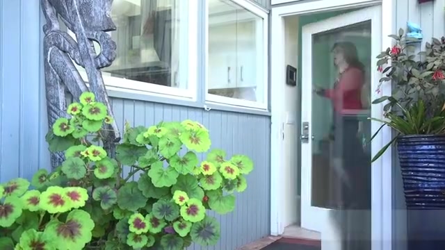 Tranny in lingerie anal fucks homeowner