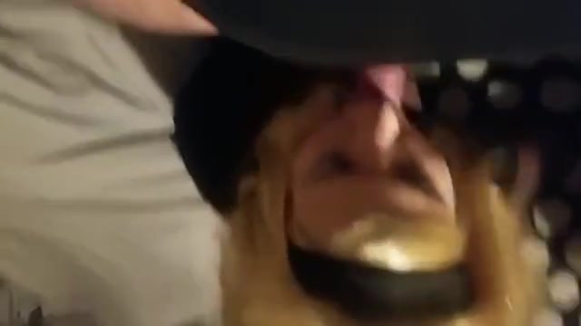 sissy annette sucking and bred by Step daddy