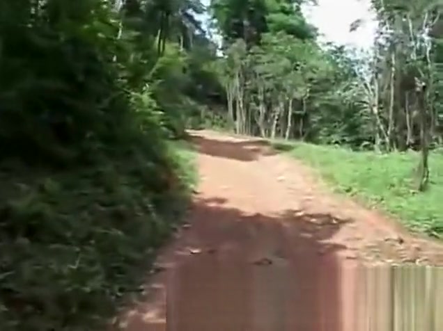 Tranny drilling in the wood