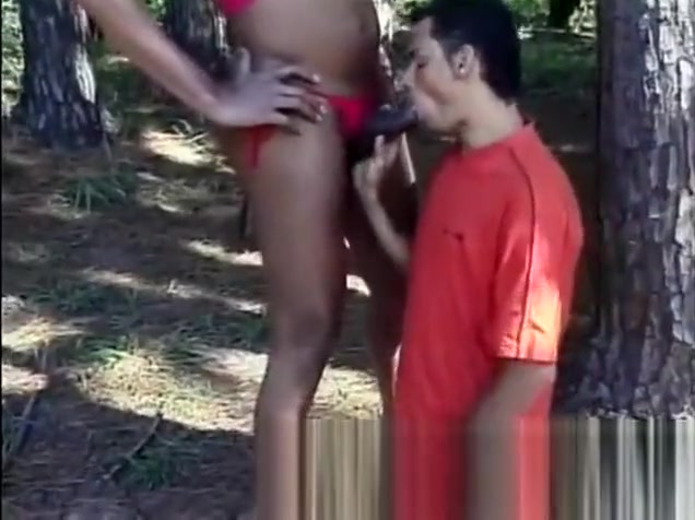 Outdoor cock sucking