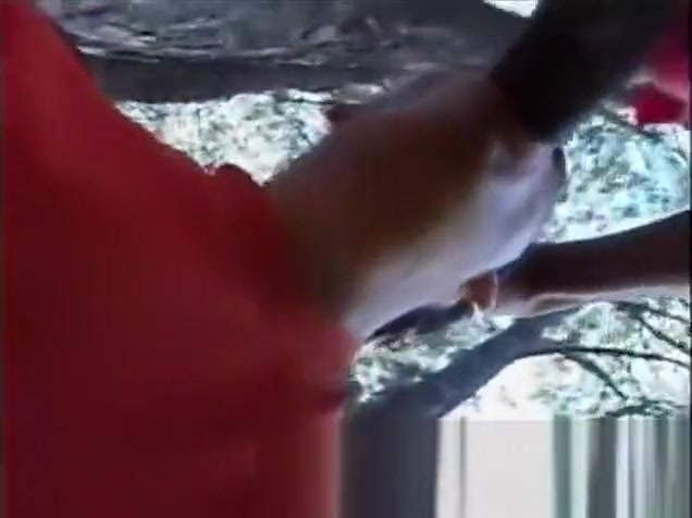 Outdoor cock sucking