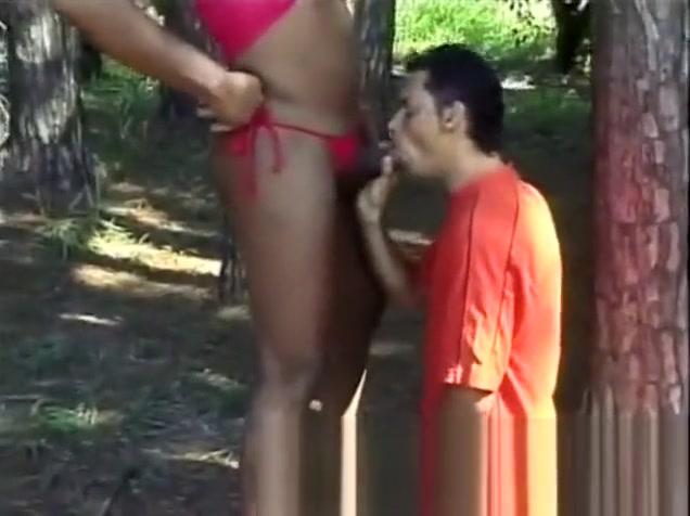 Outdoor cock sucking