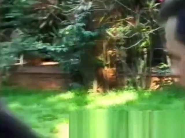 Ass fucking for horny tranny