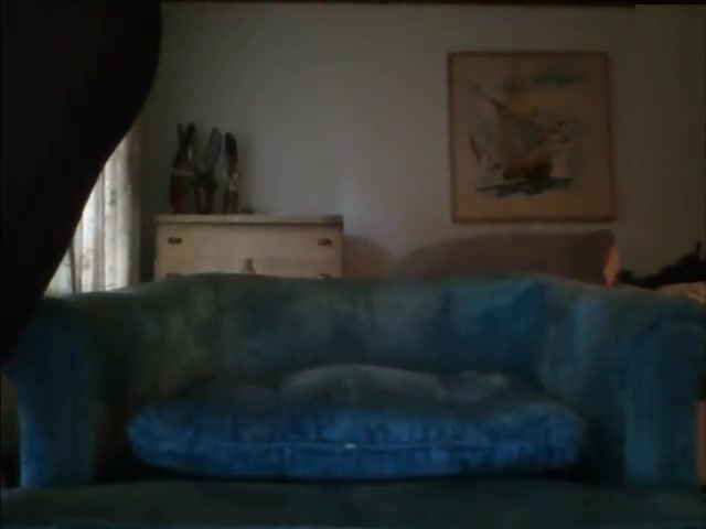 brunette shemale in black pantyhose masturbating on the sofa