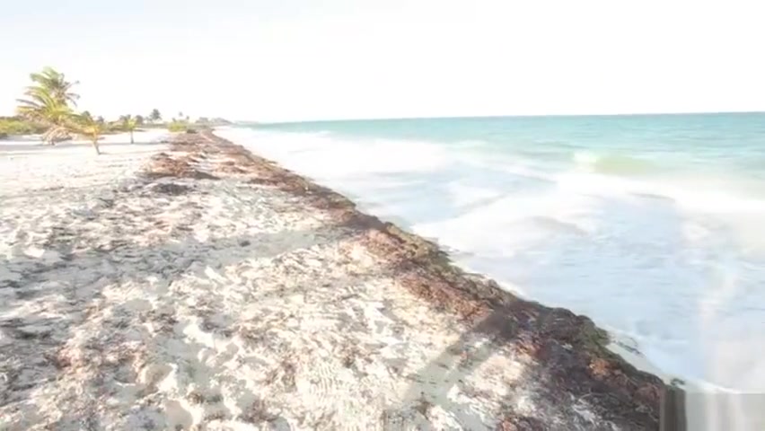 Mexican TS fucked by Ramon