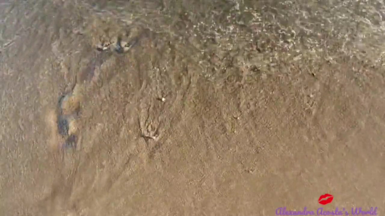 Pretty shemale masturbating and sucking on the beach