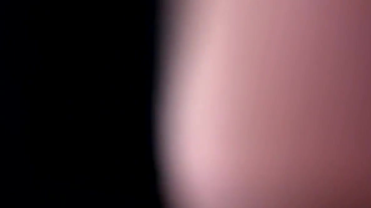 Ts Up Close And From The Back