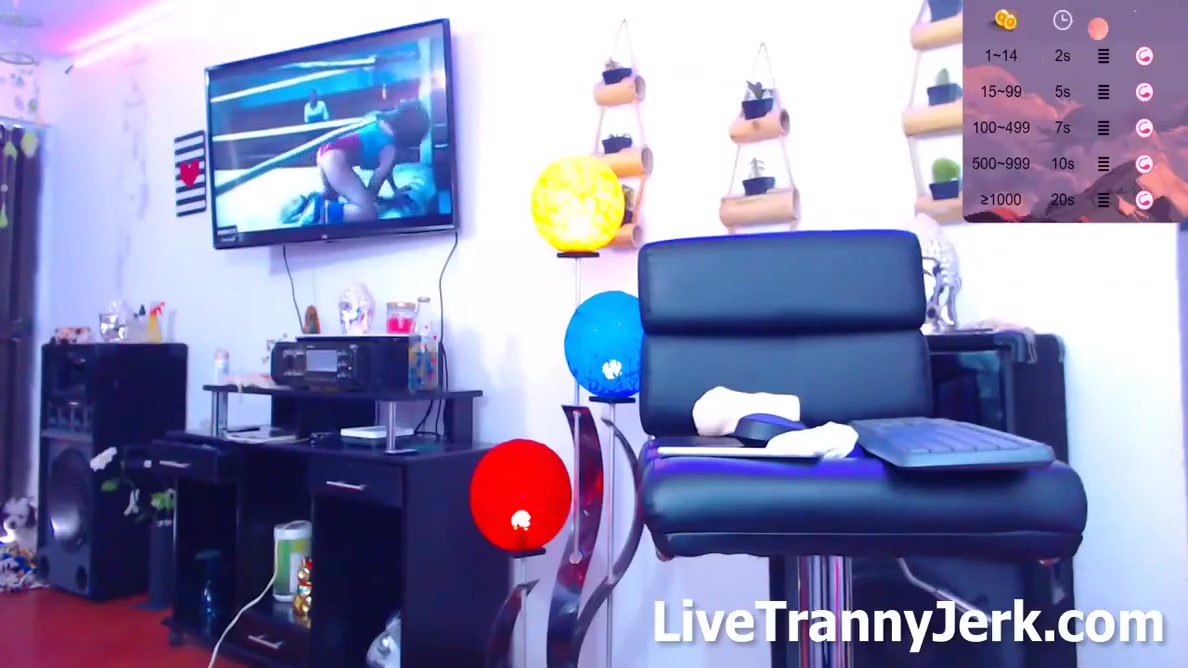 Aleexafox Trans Webcam