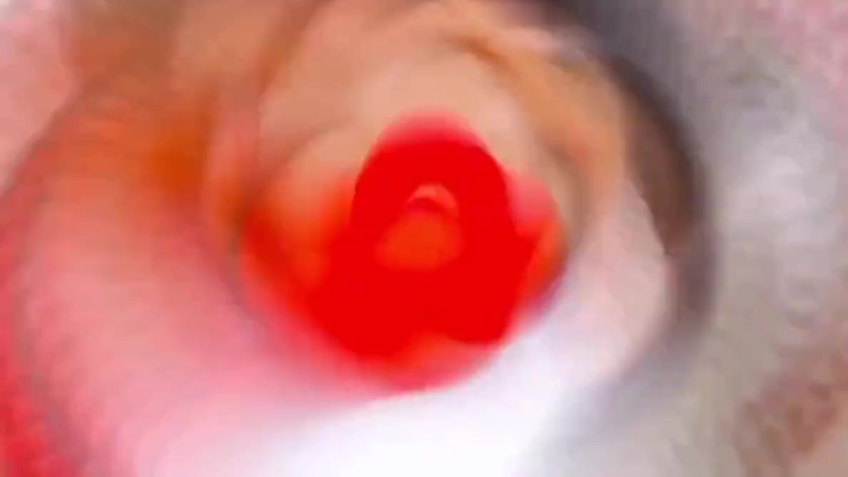 Peacock Cock Cock