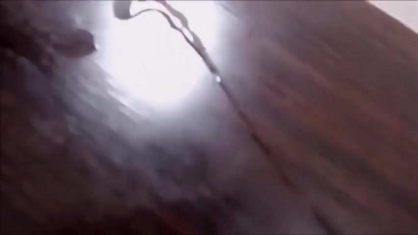 Busty TS Cuming and Licking
