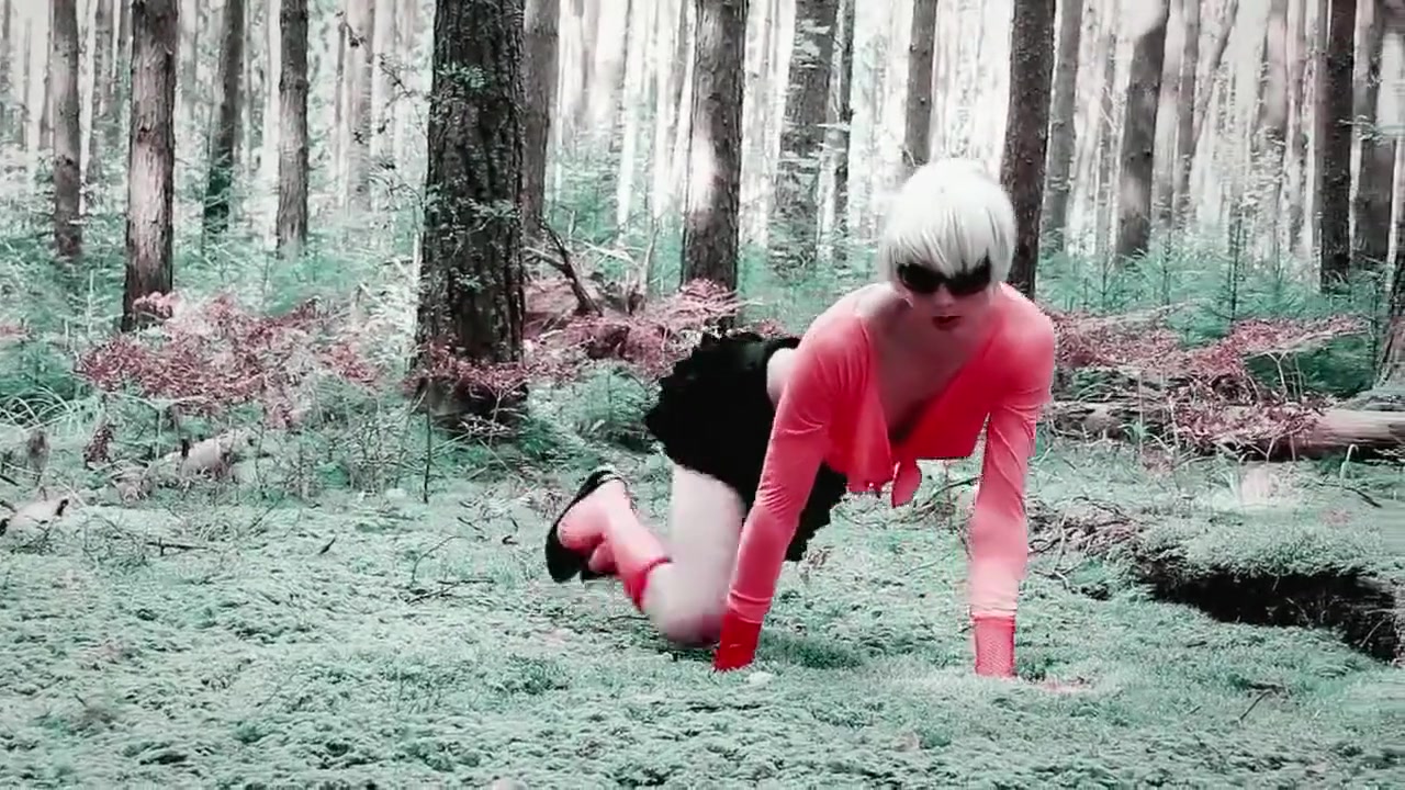 The story of the fly agaric