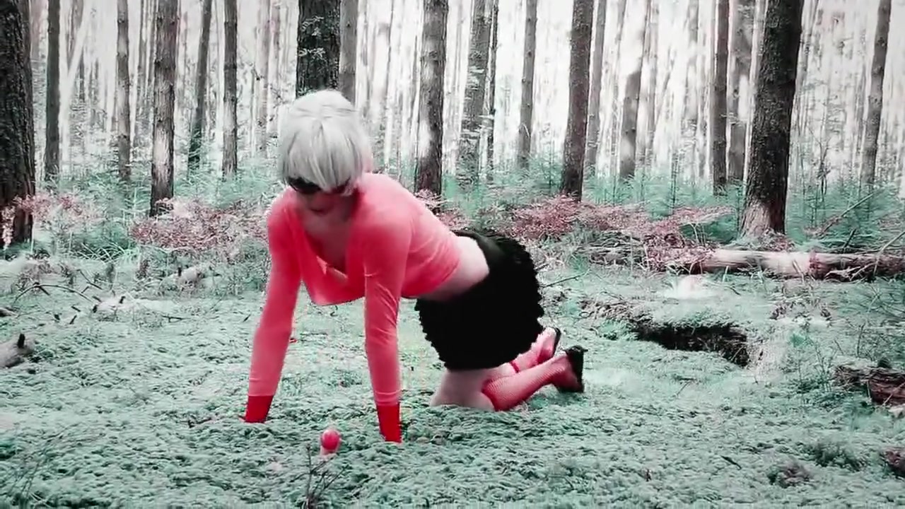 The story of the fly agaric