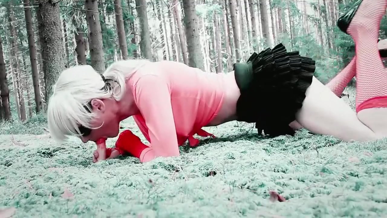 The story of the fly agaric