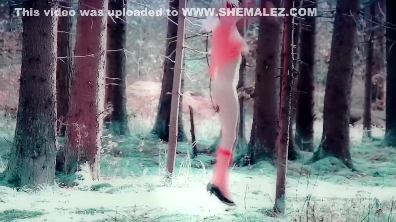 Lola Spais Wild pussycat