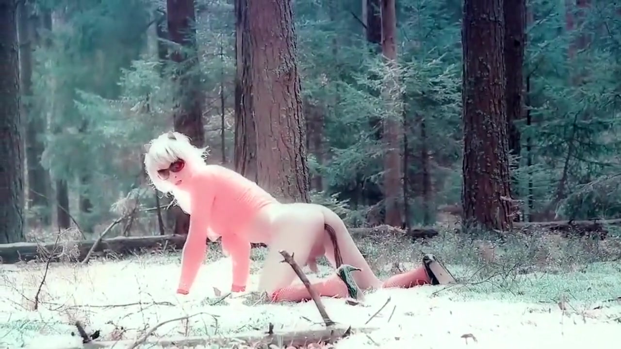 Lola Spais Wild pussycat
