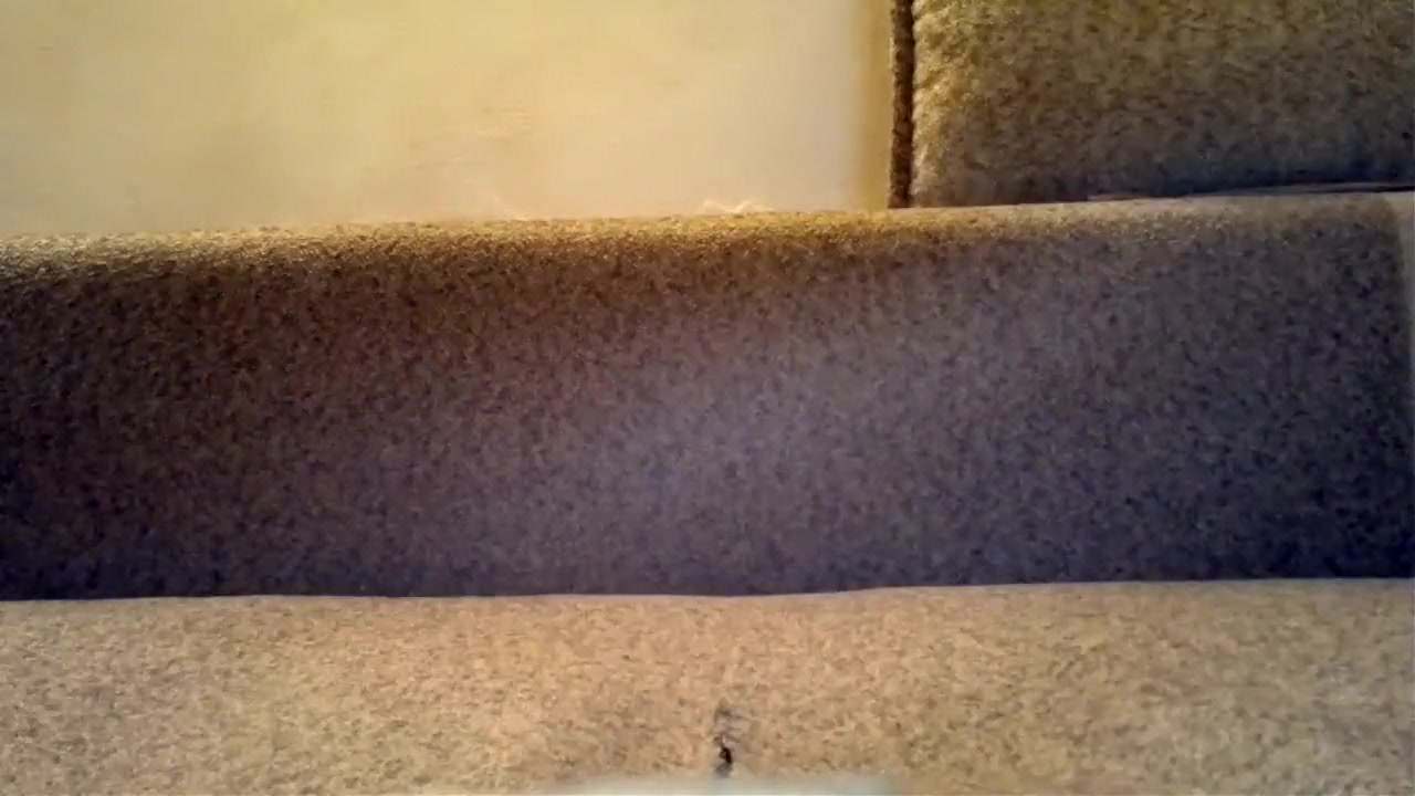 In my ass
