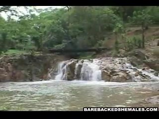 Tranny Shemale Anal Sex Action