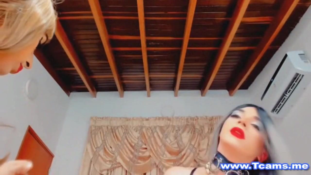 Shemale Sucks And Rides Her Friends Cock