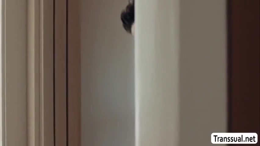 Sofia Sanders - Horny Latina Shemale Gets Analed By Her Stepsons Big Cock