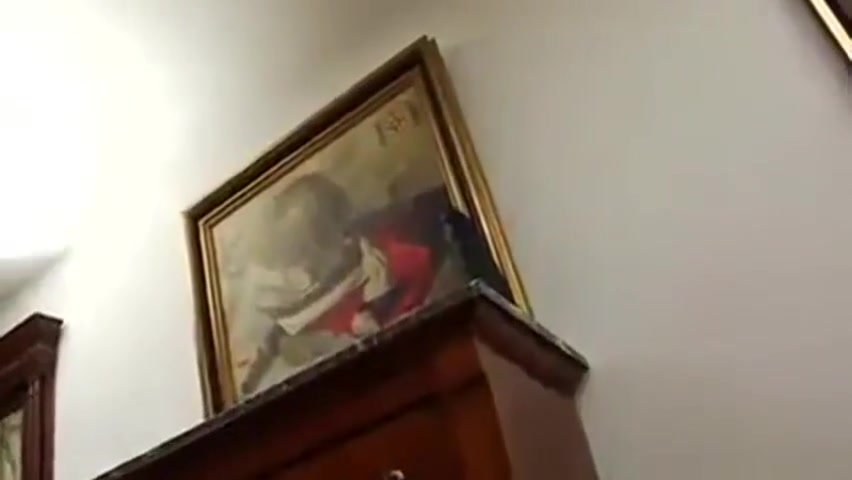 Trany Sluts Anal