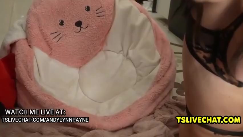 Sexual Trans Masturbating