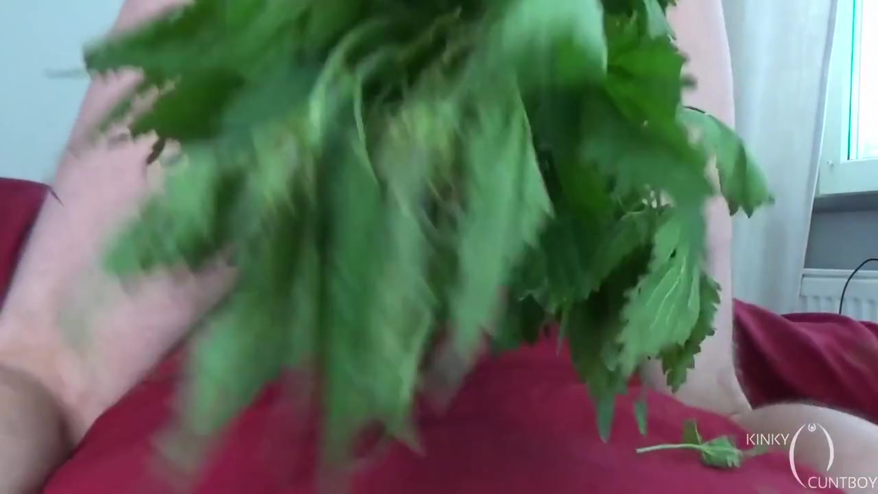 Hairy Pussy Torture With Nettles Compilation