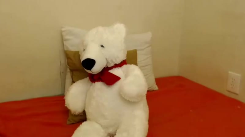 Cam Show 13