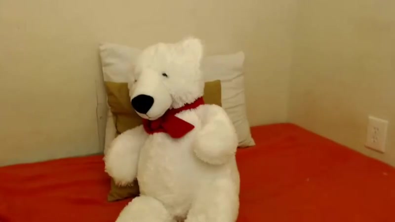 Cam Show 13