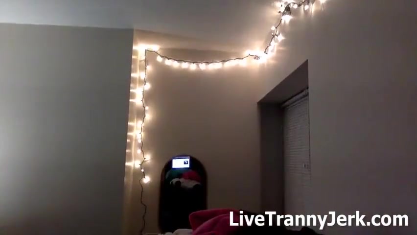 Dormstuck Shemale Webcam