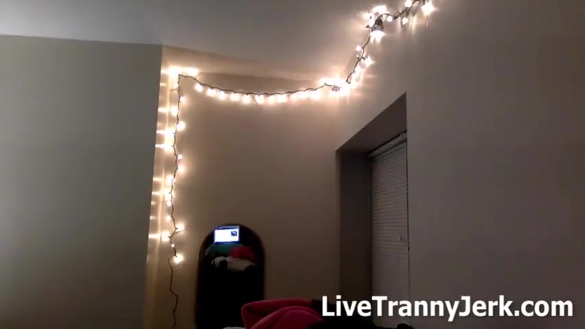 Dormstuck Shemale Webcam