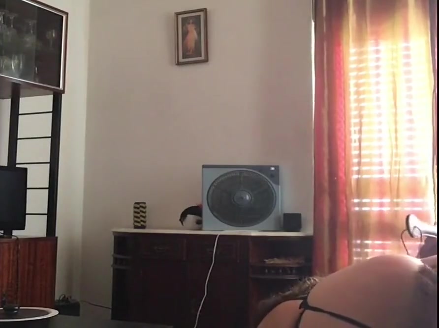 Slut Gets A Good Spank