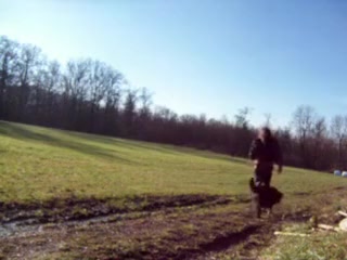Hottest amateur shemale scene with Outdoor, Masturbation scenes