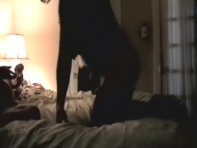 Horny shemale scene