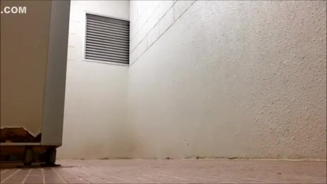 Hottest homemade shemale movie with Solo, Masturbation scenes