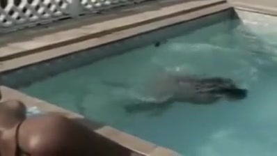 Shemale goddesses at the pool