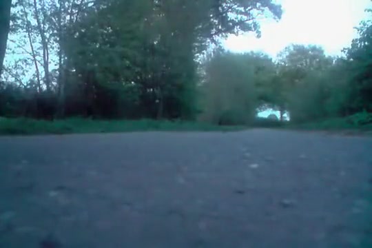 Hottest shemale clip