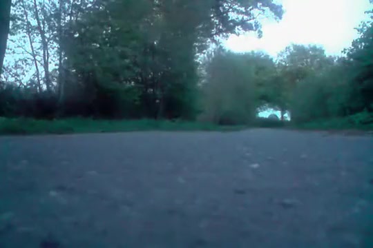 Hottest shemale clip