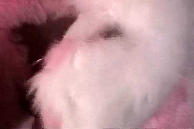Horny amateur shemale scene with Big Tits, Solo scenes