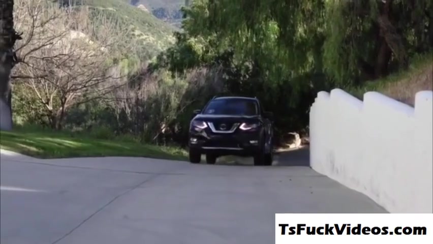 Pierce Paris In Shemale Mountranny Dick Up H