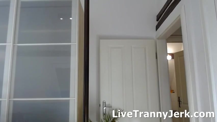 Shemale Live Jerking With Mycha Goldmann