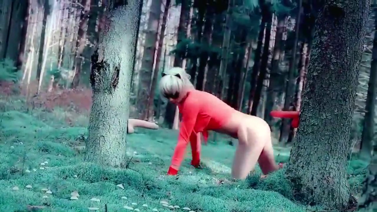 Lola Spais Wild