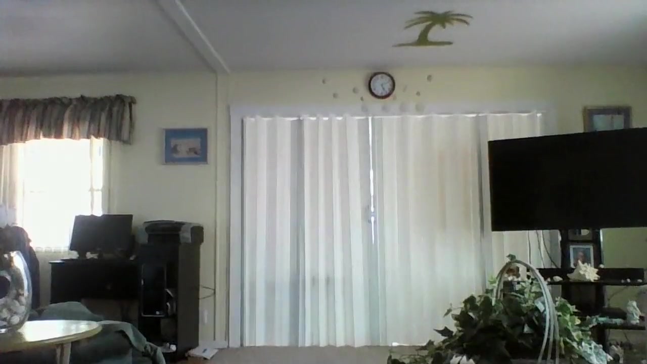 Dancing Shemale Video