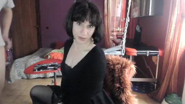 STEFY TRANS